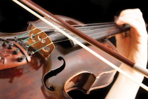 fiddle